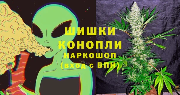 сатива Абаза