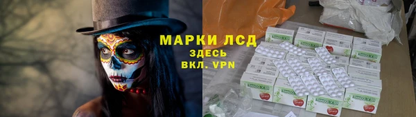 сатива Абаза