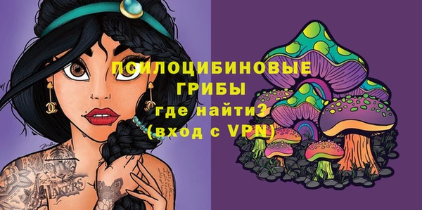 соль ск Абинск
