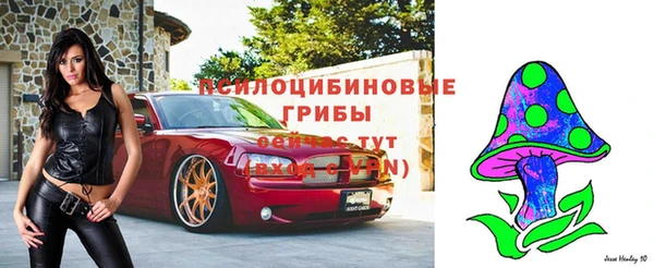 сатива Абаза