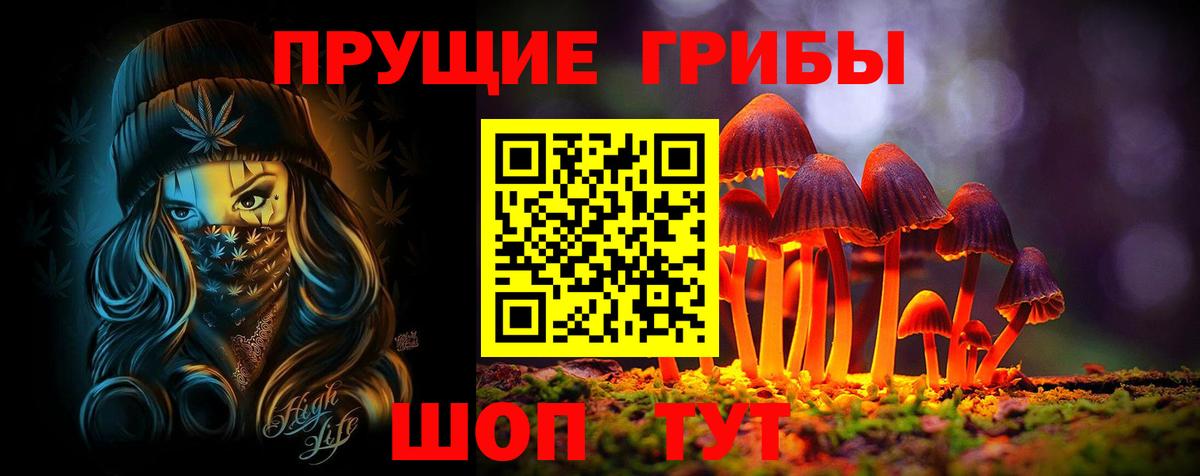 Псилоцибиновые грибы MAGIC MUSHROOMS  Вход с VPN  Кудымкар  Галлюциногенные грибы прущие грибы 
